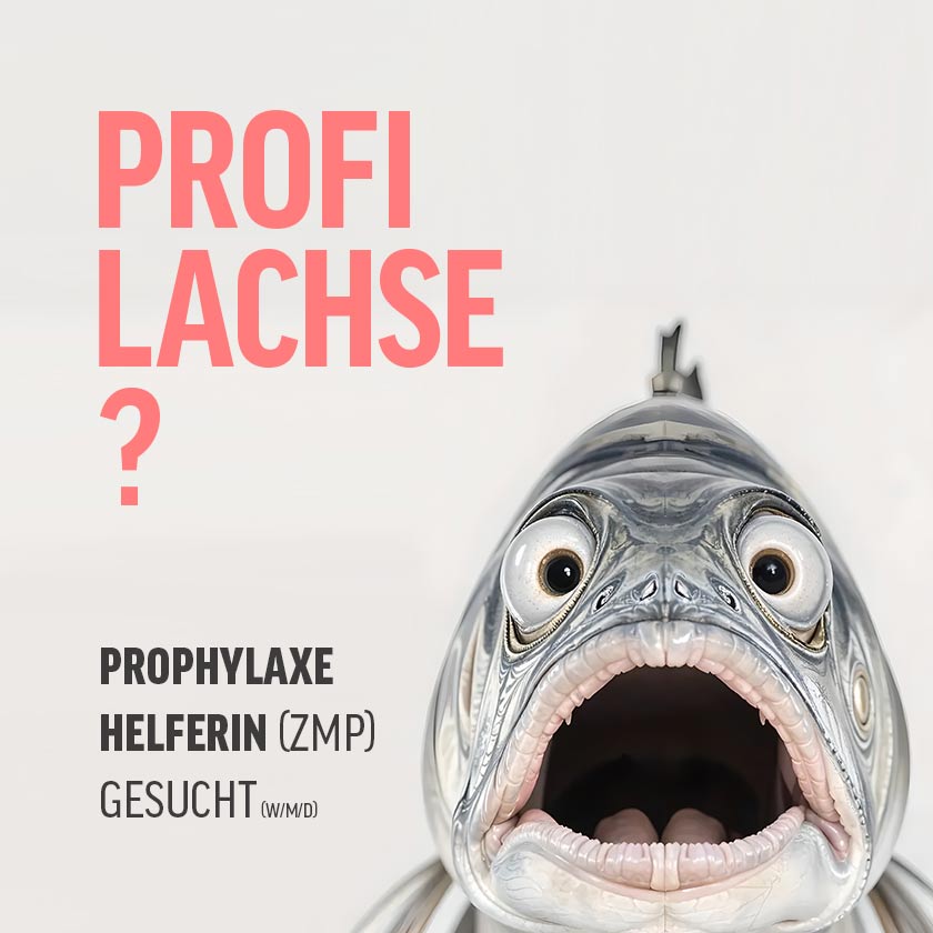 Bild eines Lachses mit der Bildunterschrift: Profi Lachse?